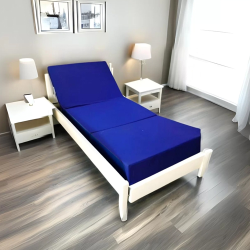 Recliner Motorized bed Supplier in Hapur